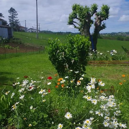 Maison Elizondoa - Chambres, Restaurant Et 4*