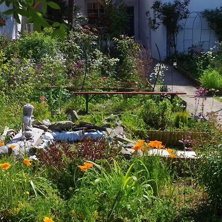 Gasthof Maison Elizondoa - Chambres, Restaurant Et Masparraute