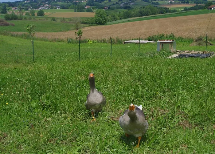 Maison Elizondoa - Chambres, Restaurant Et Masparraute
