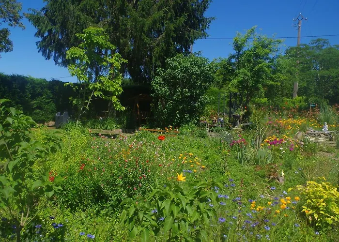 Casa de hóspedes Maison Elizondoa - Chambres, Restaurant Et 4*